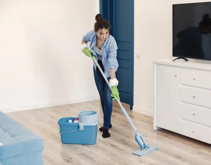 Femme de ménage Le Clerjus